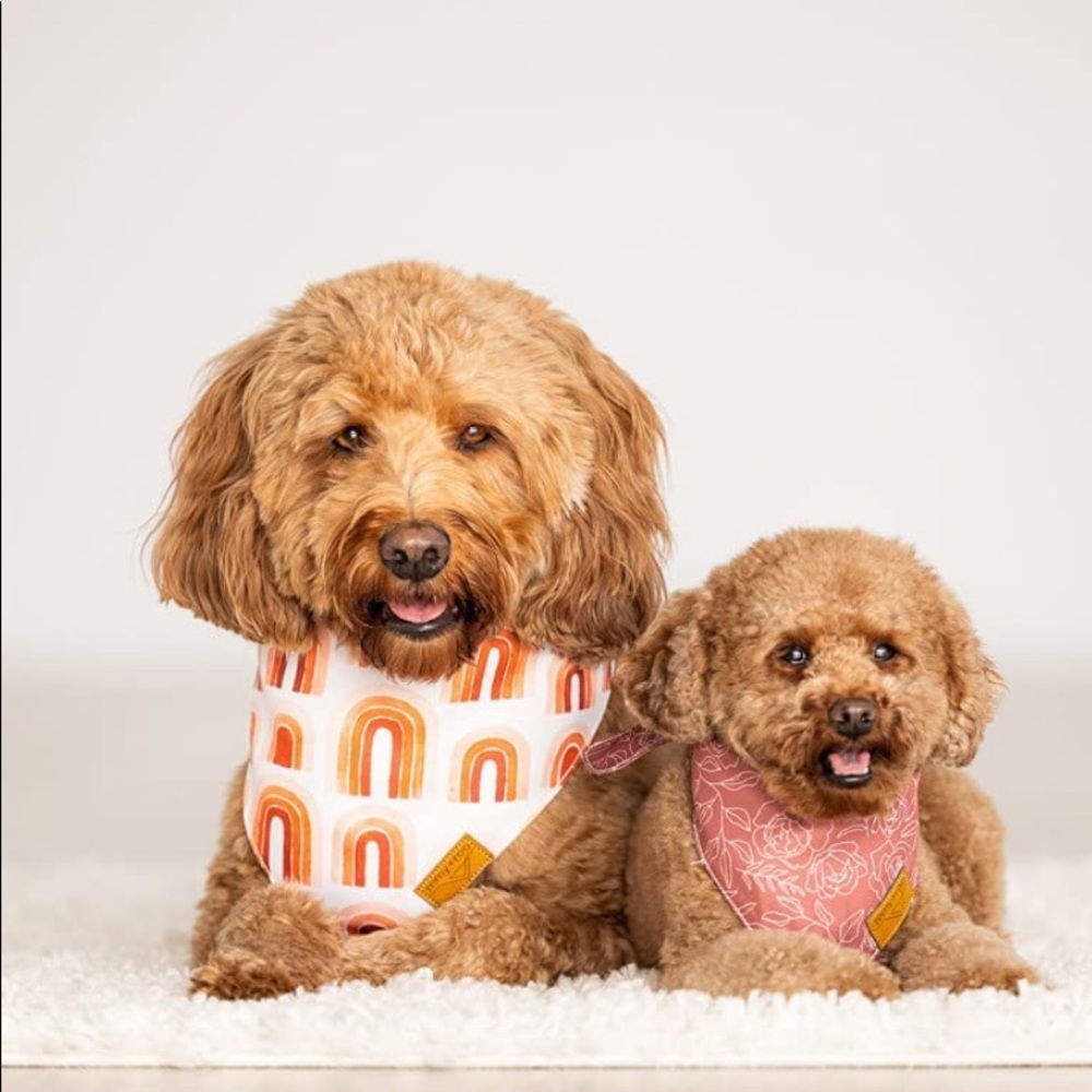 remi+roo Dog bandana